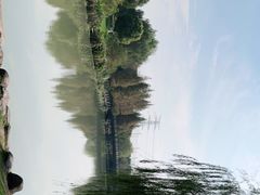 -九里河湿地公园