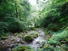 -溪口-滕头旅游景区