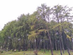 -硗碛藏寨·神木垒景区