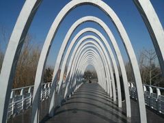 -大兴滨河森林公园