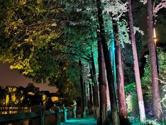 -运河游船(武林门码头)