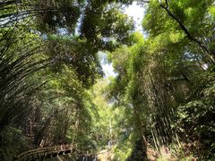 -凤栖山