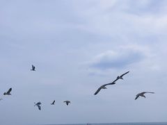 -长岛南北长山旅游景区