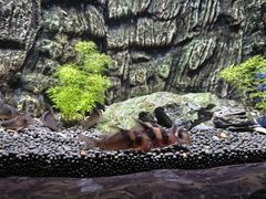 -上海海洋水族馆