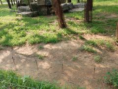 -秦皇岛野生动物园