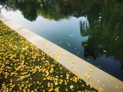 -元大都城垣遗址公园