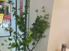 -黄记煌三汁焖锅(新佳丽江汉路店)