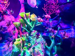 -沈阳海洋探索中心