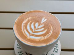 -SAFARI COFFEE