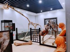 -游龙石文化科普馆