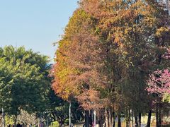 -四海公园(南山区)