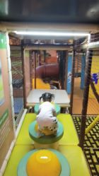 -卡通尼·Safari非洲探索乐园·生日会(金桥国际商业广场店)