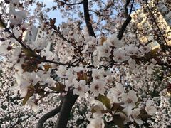 -木塔寺遗址生态公园