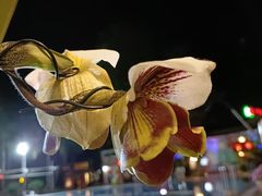 -碧水湾温泉
