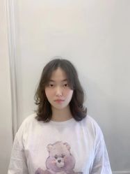 -YESIDO椰岛造型