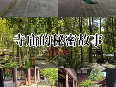 -都江堰普照寺