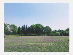 -福建鲤鱼洲酒店