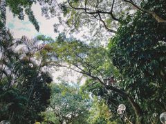 -九龙公园