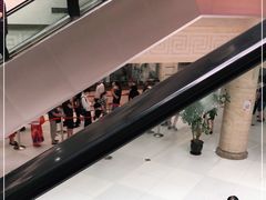 -上海中医药大学附属曙光医院(东部)