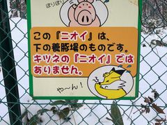 -宫城藏王狐狸村