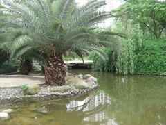 -苏州河梦清园环保主题公园