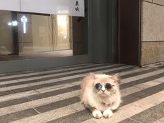 -汇美相馆(华强北店)