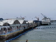 -海驴岛(荣成市)