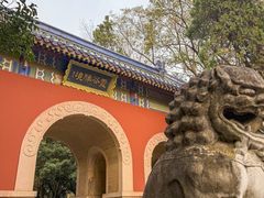 -灵谷景区