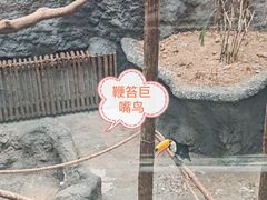 -武汉动物园