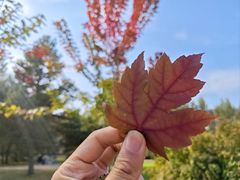 -长春公园(普阳街道)