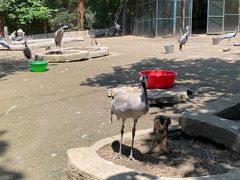 -哈尔滨北方森林动物园