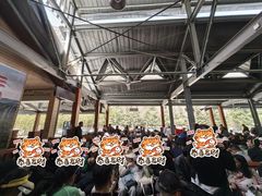 -少华山国家森林公园