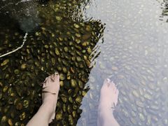 -融汇温泉