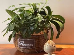 -王府茶宴(朝阳公园店)