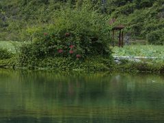 -靖西鹅泉风景区