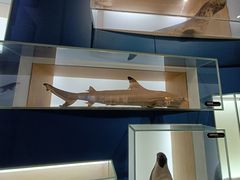 -青岛海底世界-水族馆