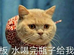 -雪园上海饭店(港湾1号店)