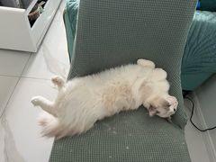 -美联众合24小时·皮肤科·外科·全科诊疗中心(华苑分院)