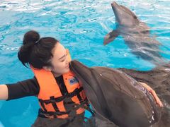 -尼莫海豚馆