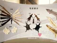 -肃宁华斯国际裘皮城