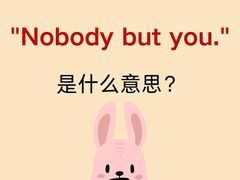 -引领英语·成人口语·雅思托福