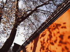 -北山街历史文化街区