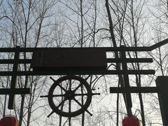 -合肥滨湖国家森林公园