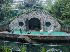 -南宫五洲植物乐园