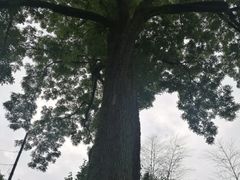 -岣嵝峰国家森林公园