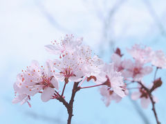 -院士公园