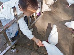 -南昌动物园