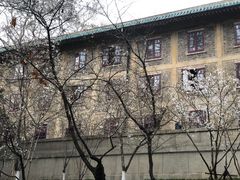 -武汉大学-樱园