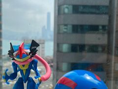 -玩具反斗城(海港城店)