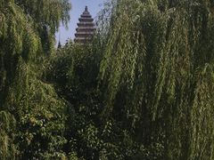 -洛阳白马寺
